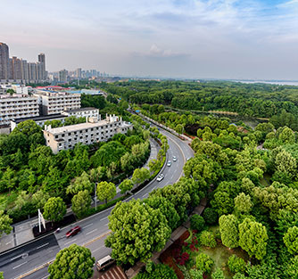 姚集王塘南区钢筋需求